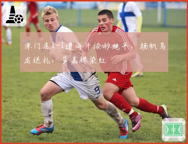 津门虎1-1遭海牛读秒绝平,杨帆乌龙送礼,黄嘉辉染红