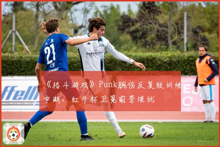 《格斗游戏》Punk腕伤反复致训练中断,红牛杯卫冕前景堪忧